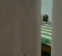 ديوث بيصور اخته جسمها فتاك فرنساوي جامد فيديو